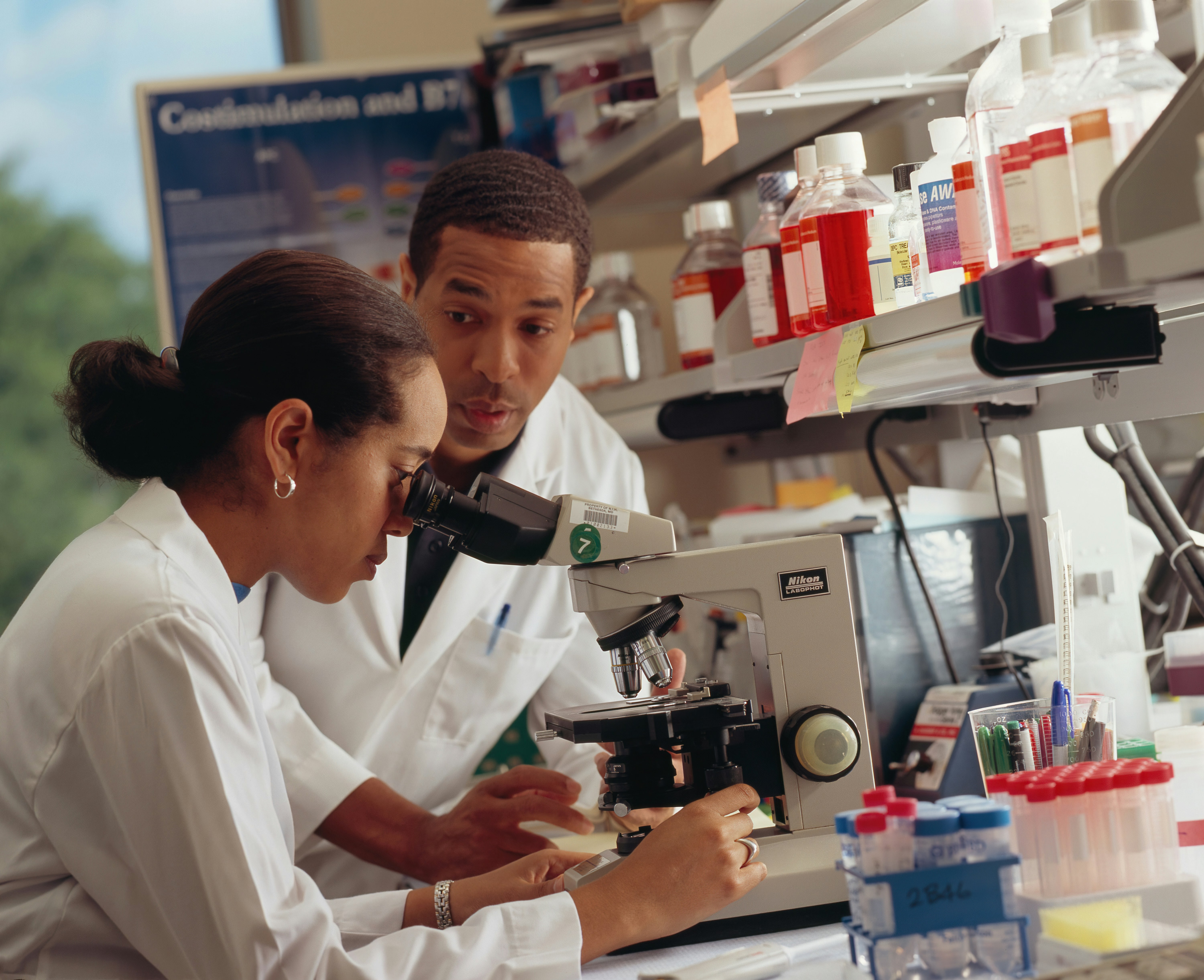 Research Team